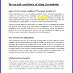 Terms and conditions for Website 1