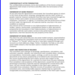 consulting agreement (8)